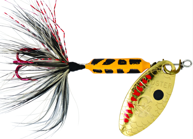 WORDENS208-YLCD Rooster Tail In-Line Spinner, 2 1/4, 1/8 oz, Treble Hook,  Yellow Coachdog with Red Hook